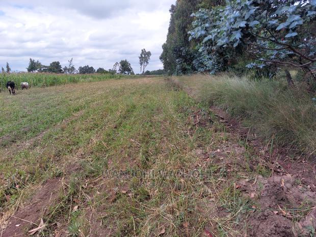 Prime 50/100 Plots in Olkalou
