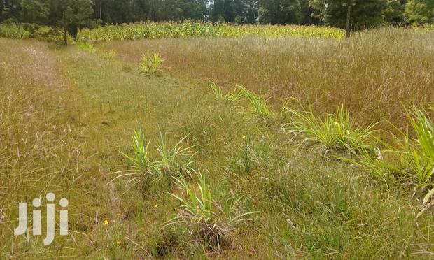 Oljoroorok Plots for Sale