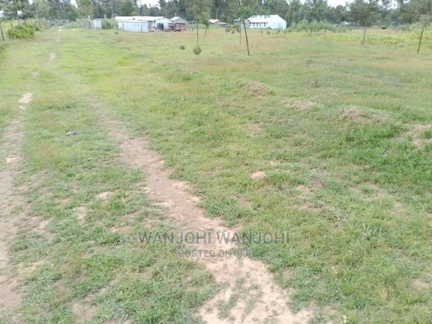 Very Prime Plots in Oljoroorok