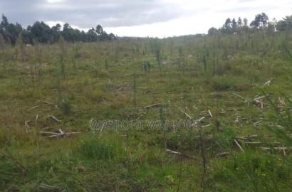 Prime 1 Acre in Gatimu