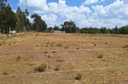 Exceptional Property Available for Purchase