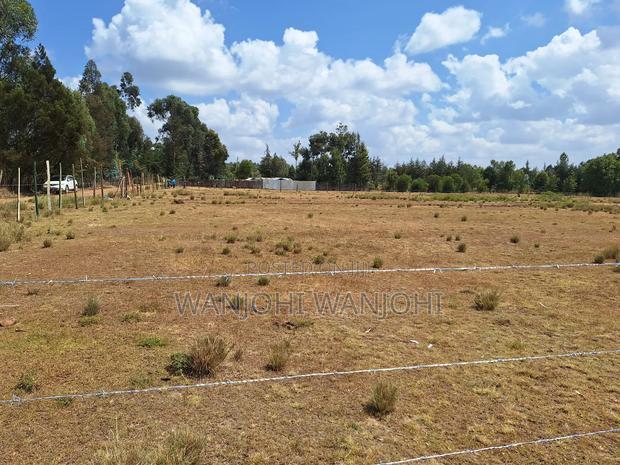 Exceptional Property Available for Purchase