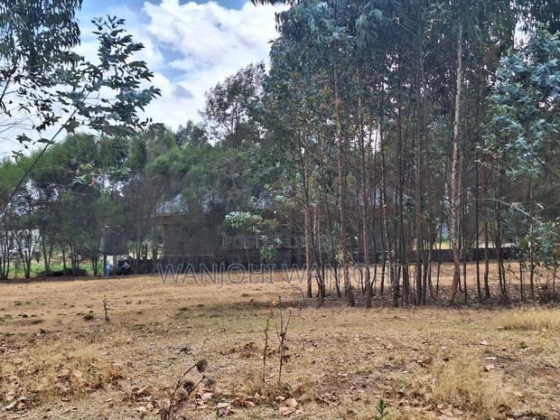 High-Grade Eighth Acre Plots at Kasuku