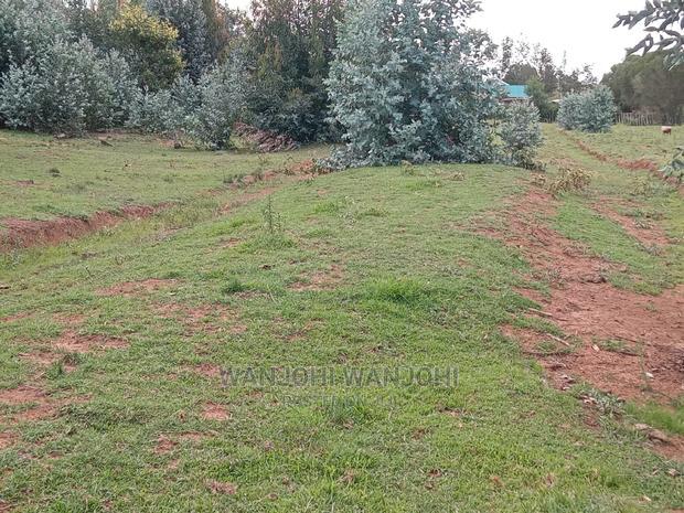 Jewel Plots in Nyandarua County