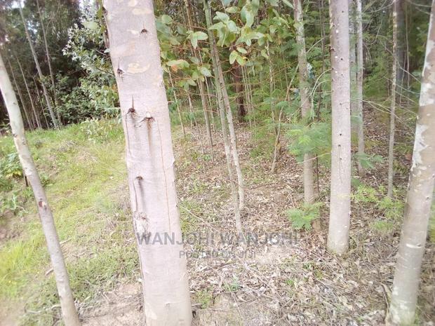 Forested Plot on Quick Sale