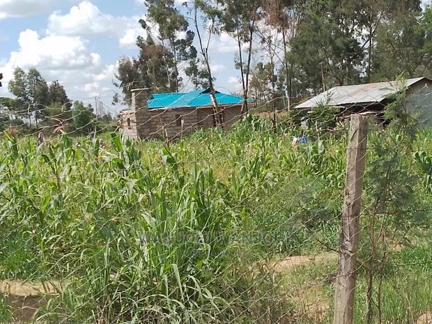 Very Prime Plots in Kasuku