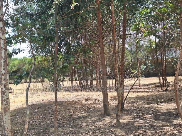 1/8 Acre Supreme Plots at Kasuku