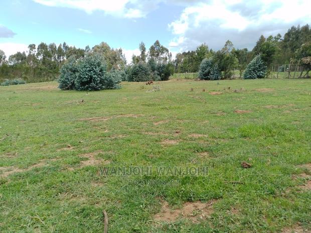 Prime Plots With Proximity to Tarmac