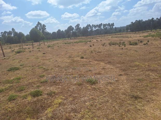 Very Prime Plots in Leshau Nyandarua County
