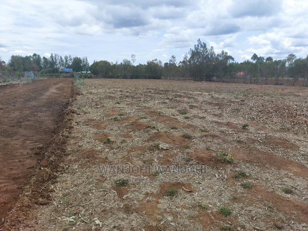 Prime Plots in Nyandarua