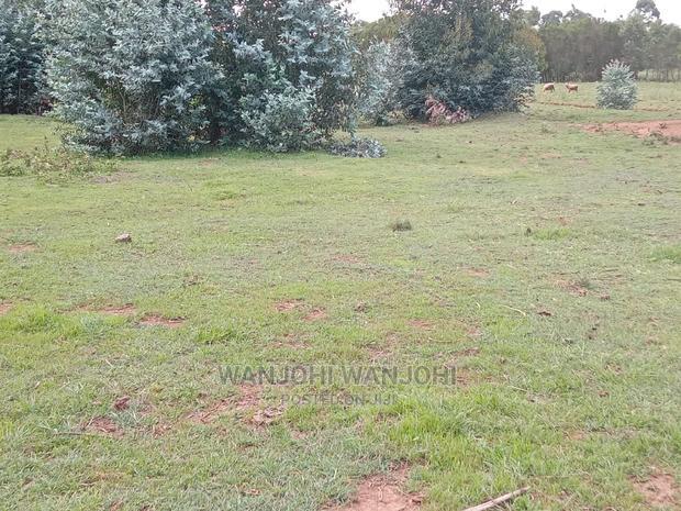 Jewel Plots in Nyandarua County
