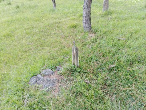 Prime Plots in Nyandarua County