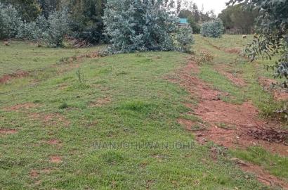 Jewel Plots in Nyandarua County