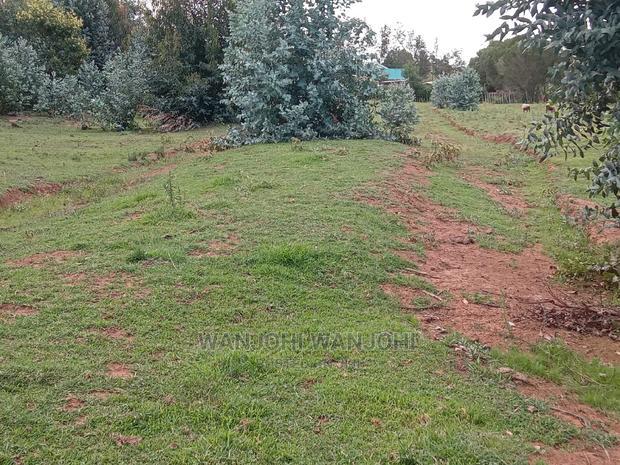 Jewel Plots in Nyandarua County