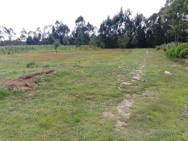 Prime Plots in Oljoro-Orok