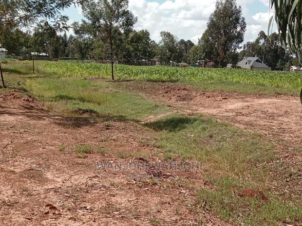 Plots on Tarmac