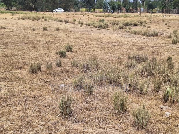 Very Prime Plots in Leshau Nyandarua County