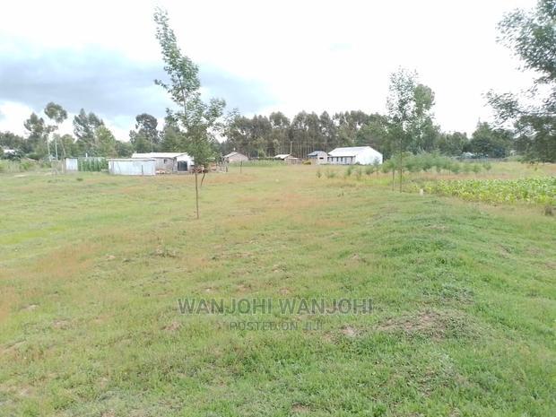 Prime Plots in Oljoro-Orok