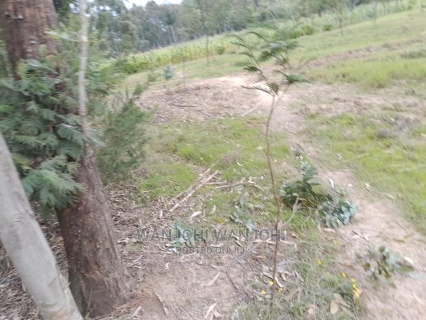 Very Prime Plots in Oljoroorok