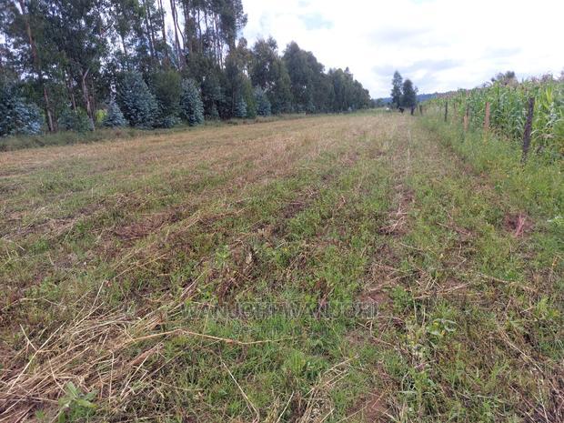 50x100 Exquisite Plots in Olkalou