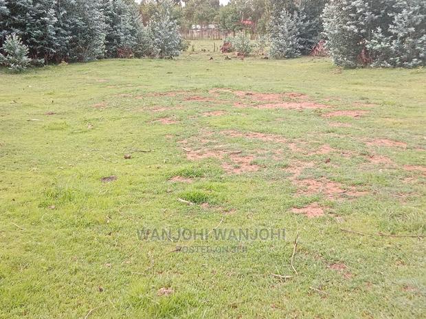 A Breath of Fresh Air in Nyandarua