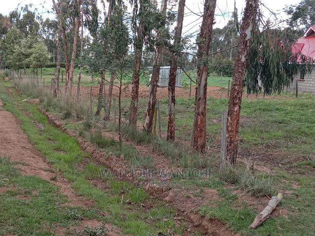 Affordable 50x100 Serene Plots