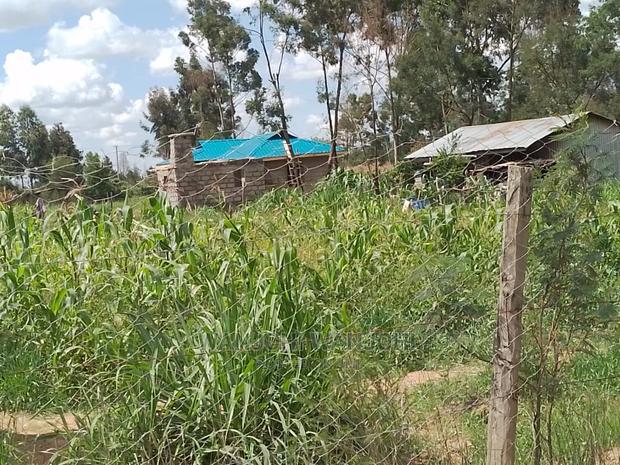 Very Prime Plots in Kasuku