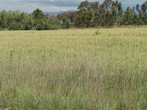 Prime Plots at the Heart of Nyandarua County