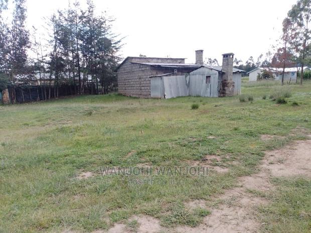 Prime Plots in Oljoro-Orok