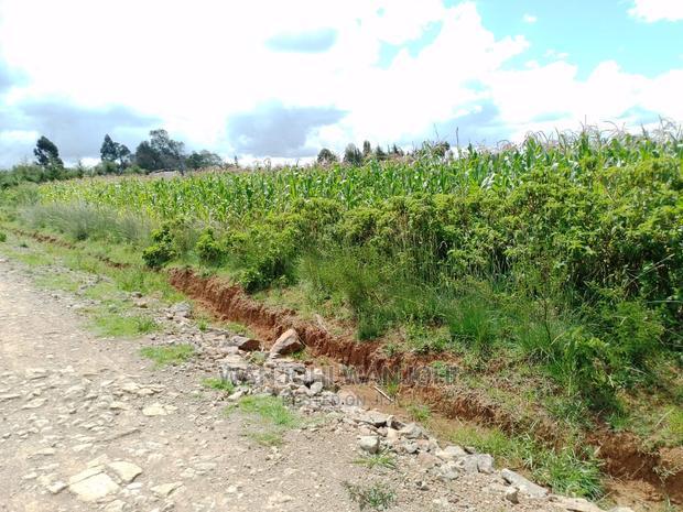 Very Prime Plots in Kasuku
