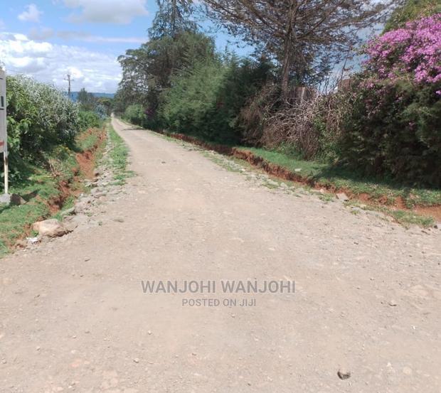 Very Prime Plots in Kasuku Town