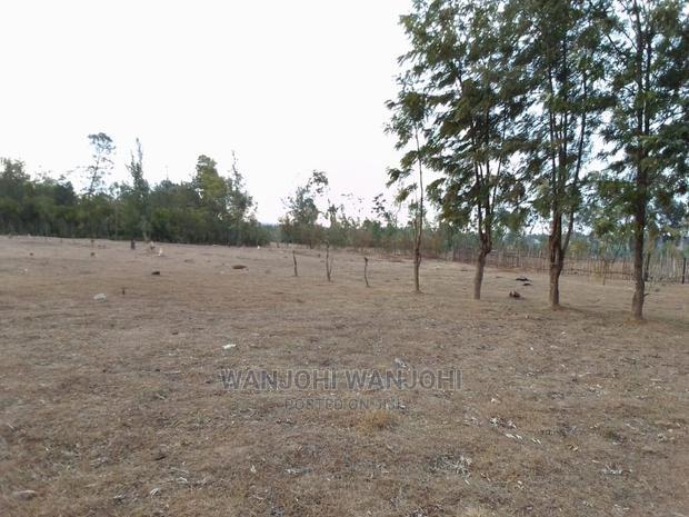 Prime Plots in Nyahururu Oljoroorok