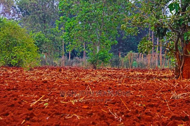 Prime Land Large Parcel