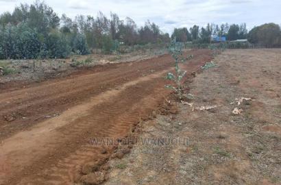 Prime Plots in Nyandarua