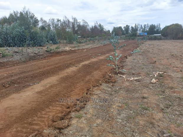 Prime Plots in Nyandarua