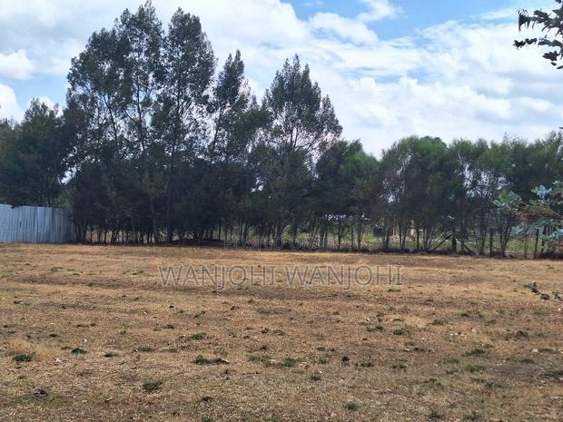 High-Grade Eighth Acre Plots at Kasuku