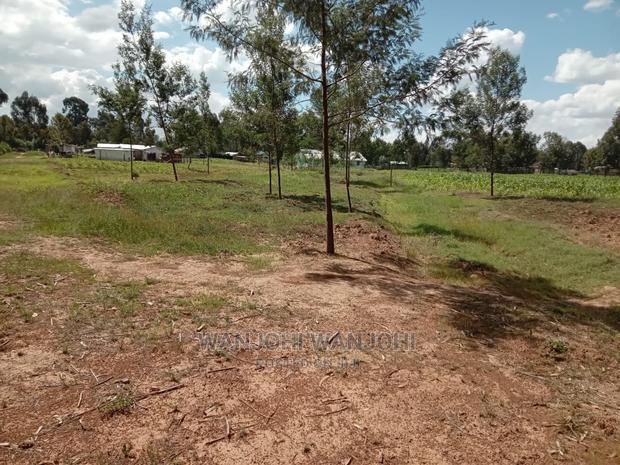 Prime 50x100 Plot