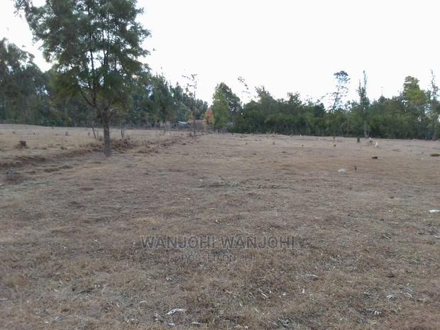 Prime Plots in Nyahururu Oljoroorok