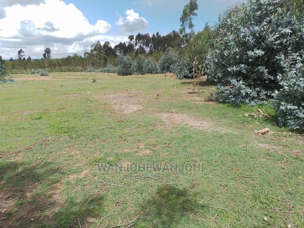 Prime Plots With Proximity to Tarmac