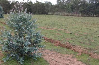 Top-Tier Plots in Nyandarua County