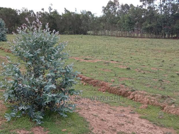 Top-Tier Plots in Nyandarua County