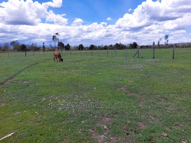 Prime 50x100 Plots in Nyandarua, Kasuku
