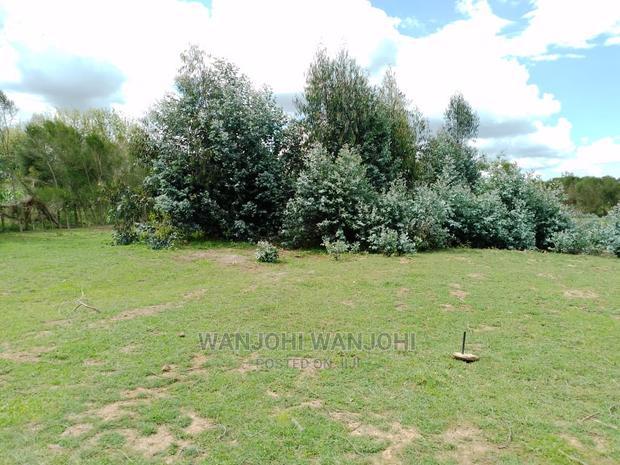 Prime Plots With Proximity to Tarmac