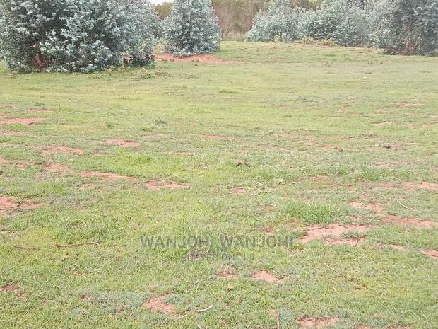 A Breath of Fresh Air in Nyandarua