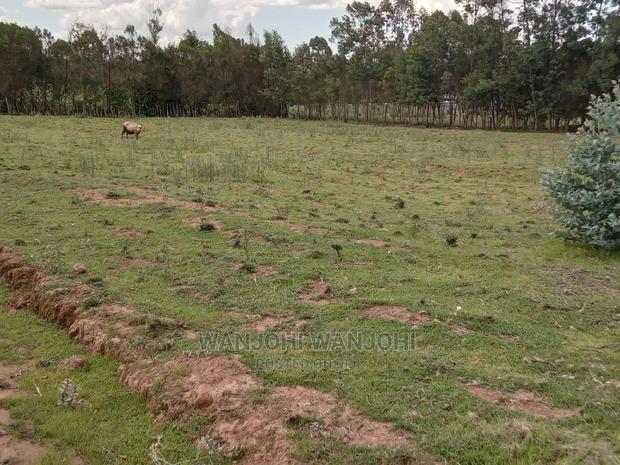 Excellent 50x100 Plots in Nyandarua