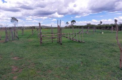 Prime 50x100 Plots in Nyandarua, Kasuku