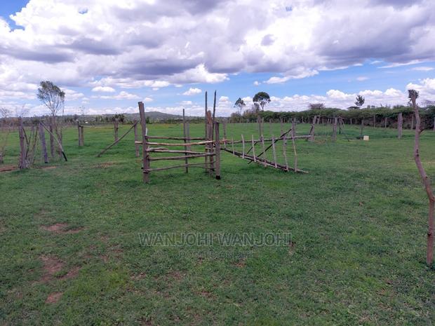 Prime 50x100 Plots in Nyandarua, Kasuku
