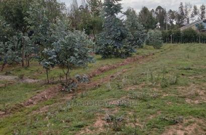 Decent Properties in Nyandarua (50x100)