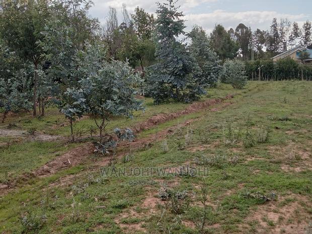 Decent Properties in Nyandarua (50x100)