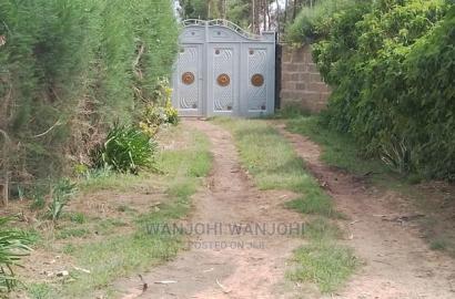 Very Prime Plots in Kasuku